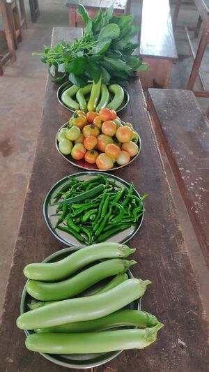 17501 kitchen garden.jpg