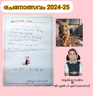 19556-MLP-KUNJ-AYISHA SALVA TV.jpg