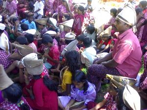 19833 krishi 193.jpg