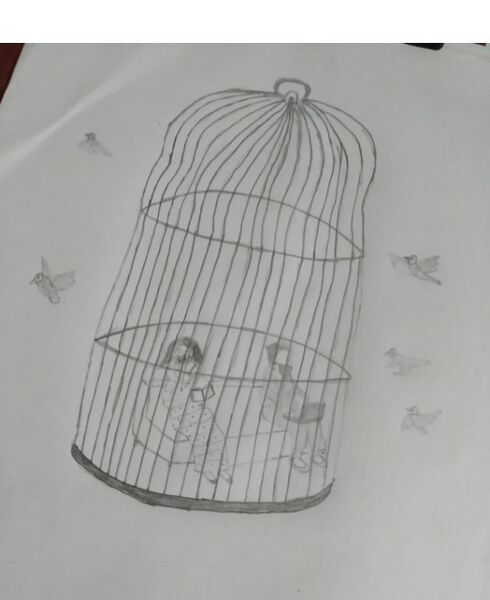 പ്രമാണം:19856 Muhammed Rizwan 3B.jpeg