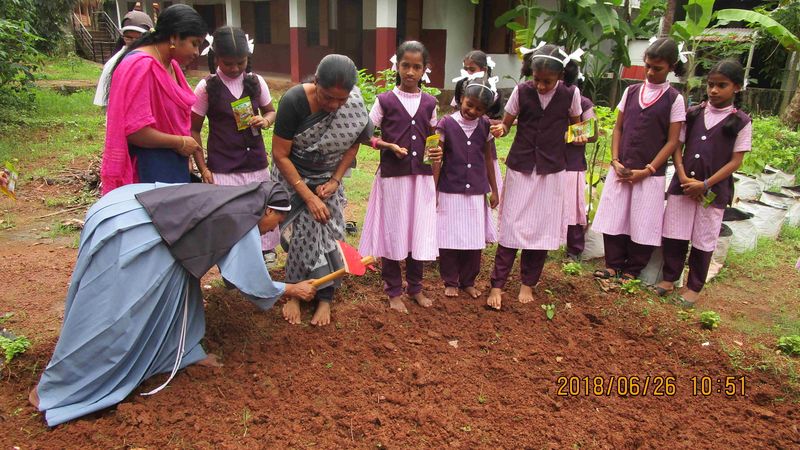 പ്രമാണം:22049 seed 2.JPG