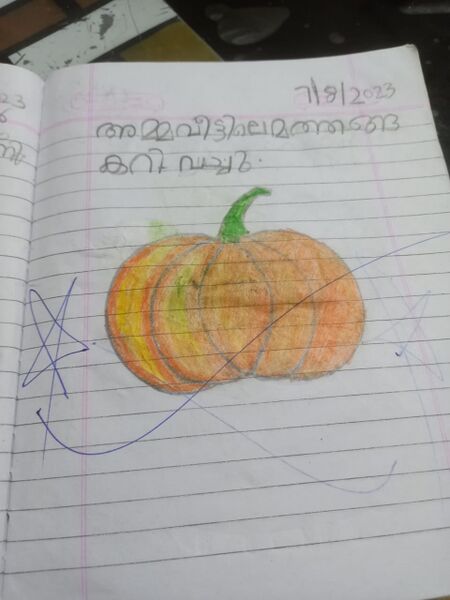 പ്രമാണം:22607-TSR-KUNJ-SREERAM K V.jpg