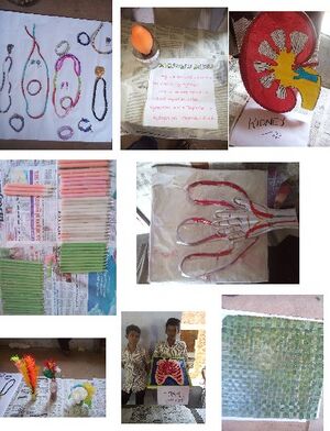 24052 SCHOOL EXHIBITION.jpg