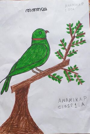 25084-EKM-KUNJ-ANAMIKA P.jpeg