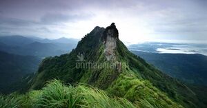 31074 IIllikalkallu-Jimmy-Kamballur.jpg