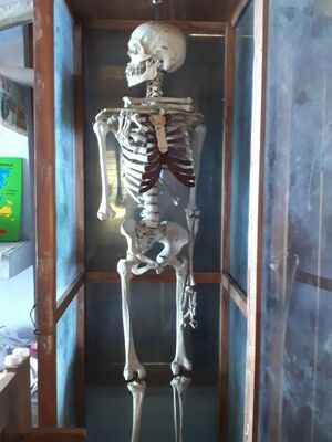 32020 science park01.jpg