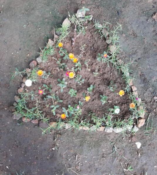 പ്രമാണം:42446 89.jpg