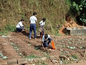 D7WhatsApp Image 2022-01-28 at 7.37.18 AM.jpeg