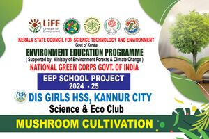 Mushroom cultivation4.jpeg