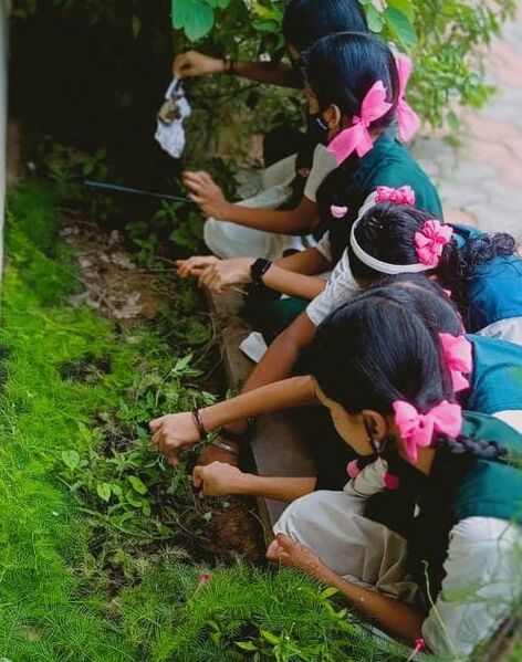 പ്രമാണം:WhatsApp Image 2022-11-20 at 19.42.48.jpeg