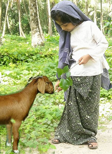 പ്രമാണം:18402 basheerdhinam 2021-22 17.jpg