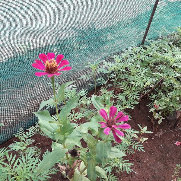 പ്രമാണം:21302-bio 9.jpg