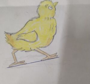 23302-TSR-KUNJ-VIGNESH I M (2).jpg