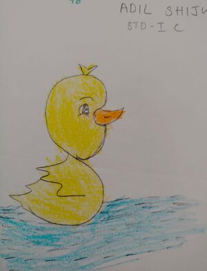 26259-EKM-KUNJ-Adil shiju.jpeg