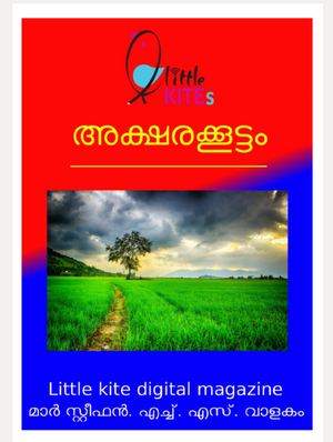 28048-dm.png