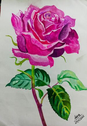 33056 talent 2022 34.jpeg