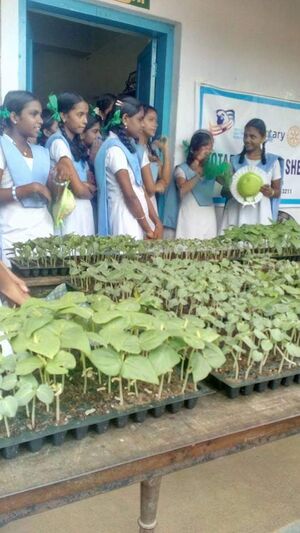 34025 natureclub.jpeg