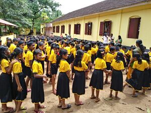 34317 assembly 6.resized.jpg