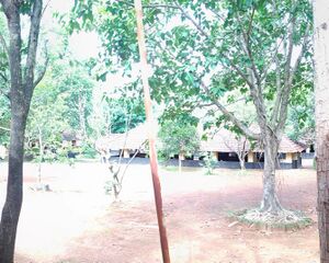 IMG 20210601 093115wikki new.jpg