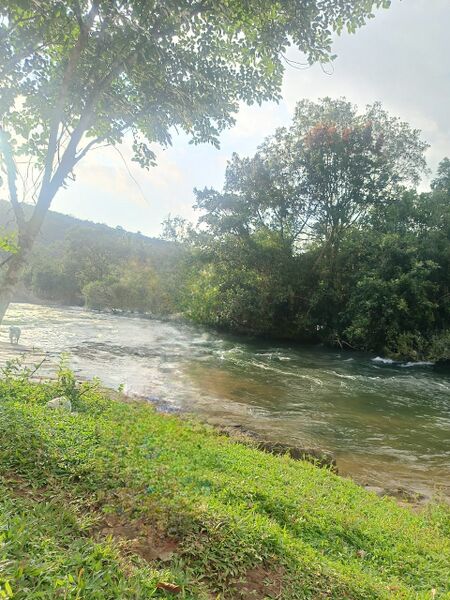 പ്രമാണം:Kadiyangad river.jpg