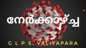 Nerkazhcha 2020 page-0001.jpg