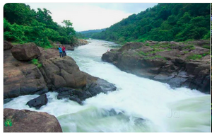 Perumthenaruvi Waterfalls 2.png