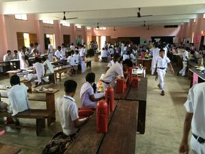 Sc 15 35052a (7).JPG