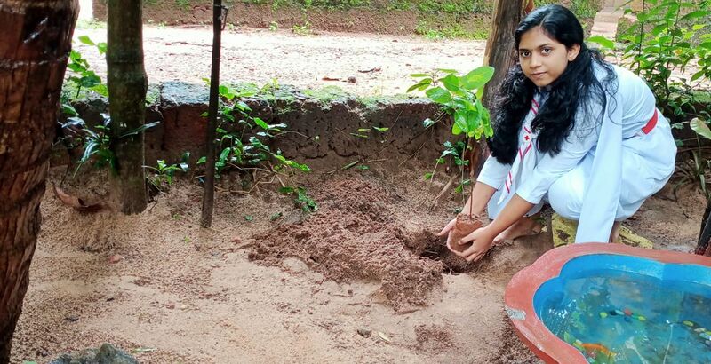 പ്രമാണം:19016 ജെ ആർ സി.jpeg