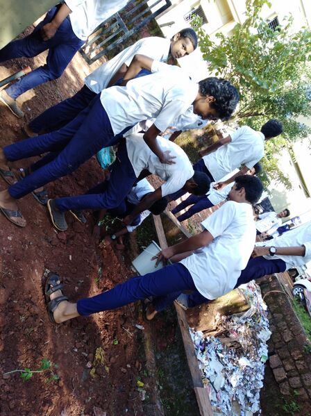 പ്രമാണം:19068 SEED 4.jpeg