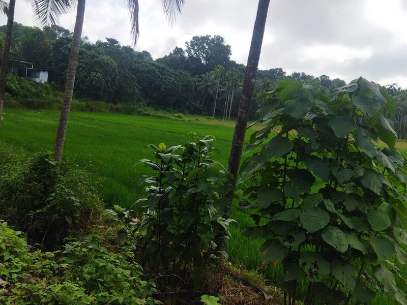 പ്രമാണം:27039 gramam.jpeg