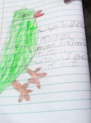 34343 ALP KUNJ AHSANUL AMEEN.jpg