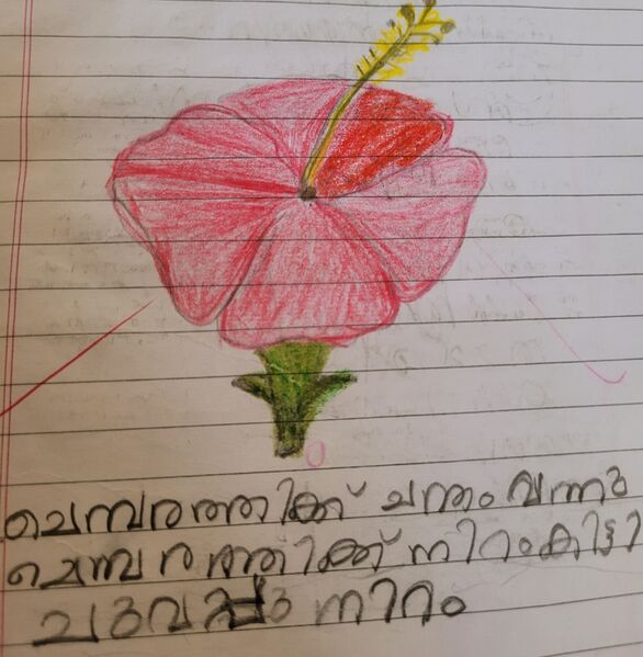 പ്രമാണം:35226-ALP-KUNJ-SATHVIKI KISHORE.jpg