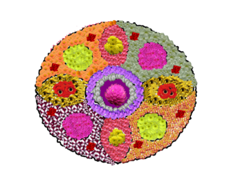 A. M. M. H. S. Othera