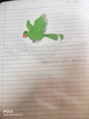 37235-PTA-KUNJ-ALAN P BINU.jpeg