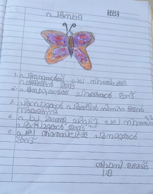 41243-KLM-KUNJ-Sivani Umesh.jpeg