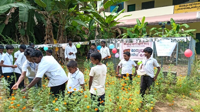 പ്രമാണം:43052 jamanthithotttam.jpg