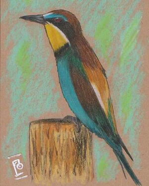 44024-Anju Ajayan std8C.jpeg