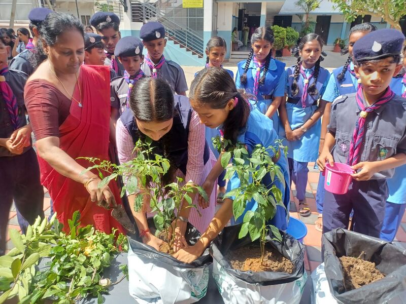 പ്രമാണം:Vegetable planting.jpg