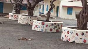 WhatsApp Image 2022-01-14 at 12.23.26 PM(1).jpg