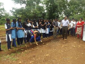 12060 vithirakkal 8.JPG