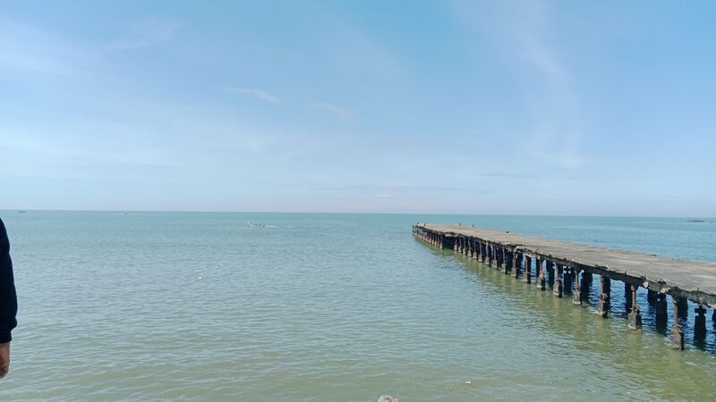 പ്രമാണം:14028 tly6.jpg