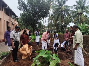 16002 adukalathottam1.jpg