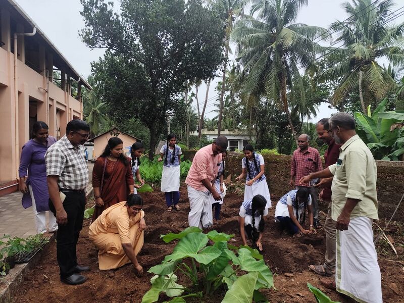 പ്രമാണം:16002 adukalathottam1.jpg