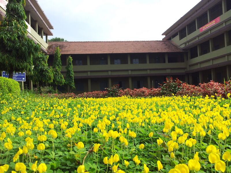 പ്രമാണം:19068 CBHSS 4.jpg