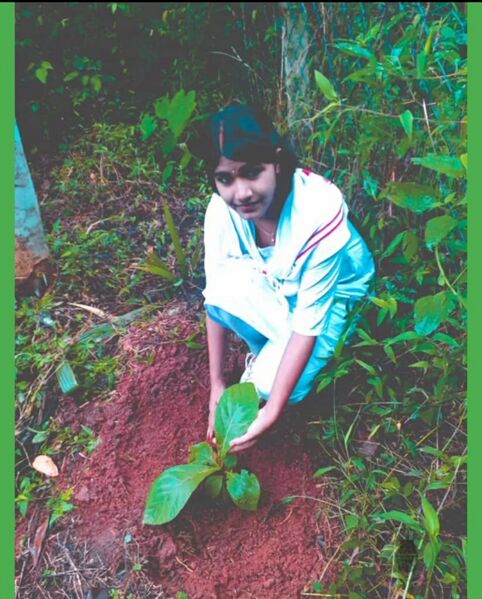 പ്രമാണം:20007-work 277.jpeg