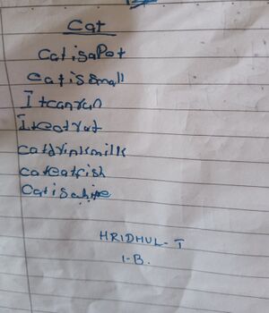 20346-PKD-KUNJ-HRIDHUL T.jpg