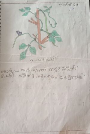 21240-PKD-KUNJ-SANGEETH S.jpeg.jpg