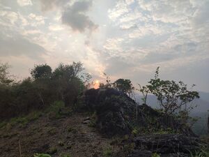 21861 kallamala view.JPG