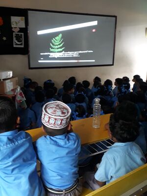 23223 Classroom activity.jpg