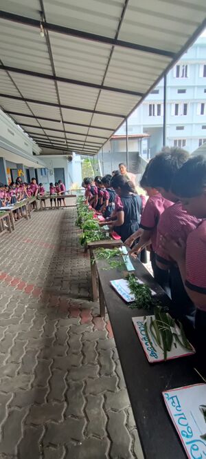 25044 LP Exhibition-oushadasasyam3.jpg